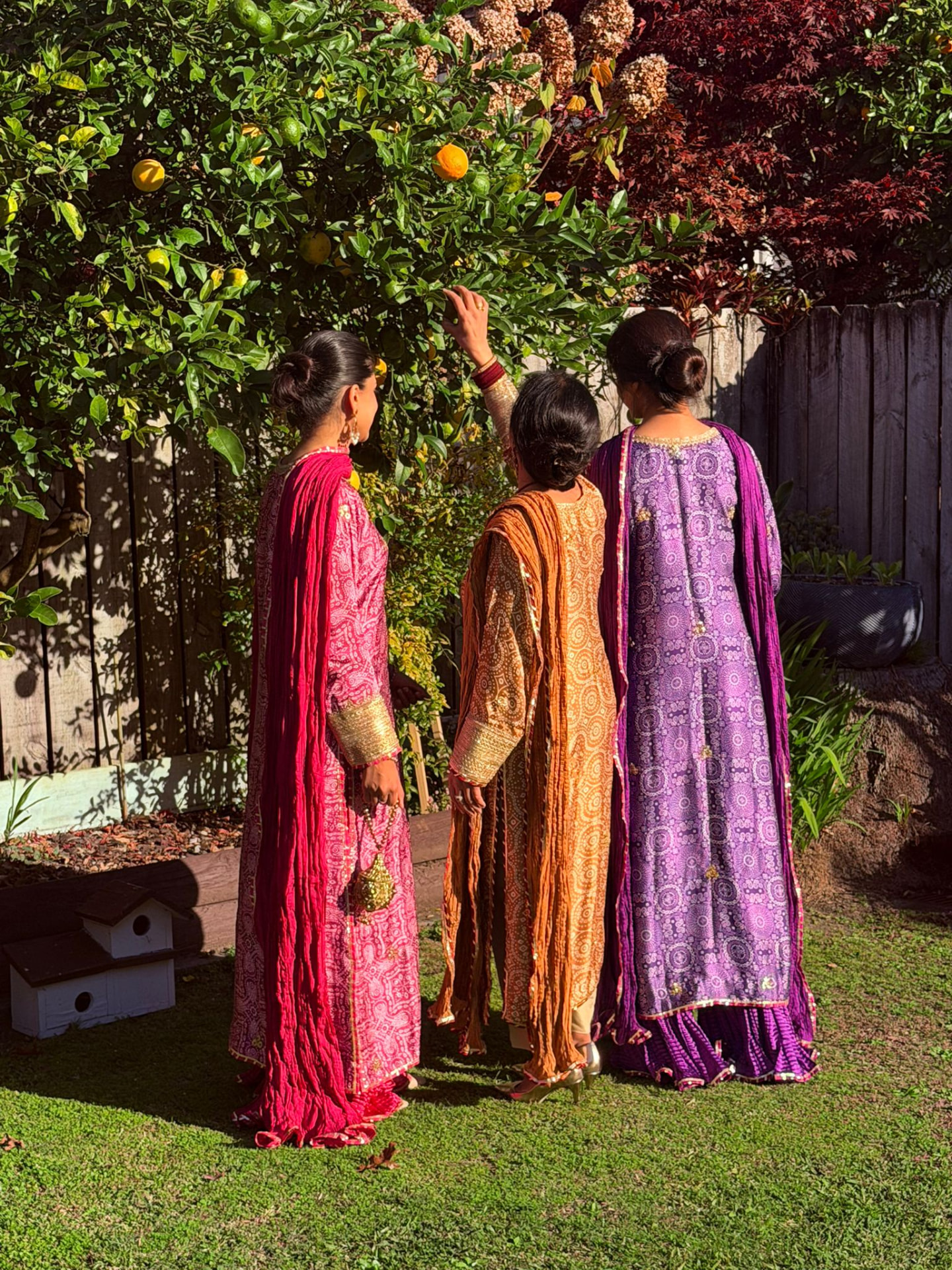 Baajo's Studio formal and semi-formal occasion wear